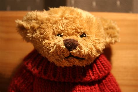 plush teddy bear  cozy setting  stock photo freeimages