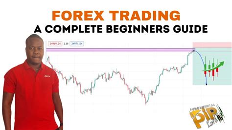 Introduction To Forex And How It Works A Complete Beginners Video