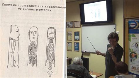 Нормализация веса с использованием BioTrEM и СуДжок-терапии - YouTube