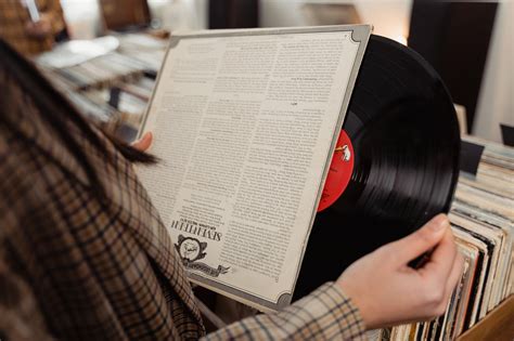 vinyl records collection  photo  pixabay