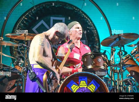 Flea Bass Chad Smith Drums Red Hot Chili Peppers Live In Buenos Aires Argentina Stock
