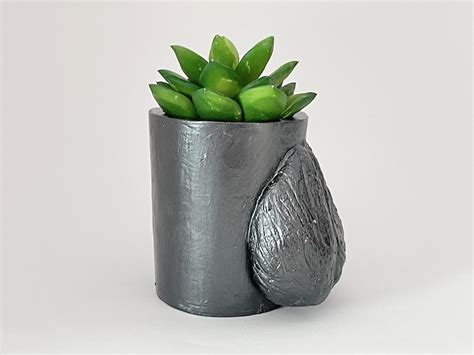 Ball Planter Nude Penis Pot Testicle Planter Succulent Eco Friendly Cup Pencil Pen Holder Etsy