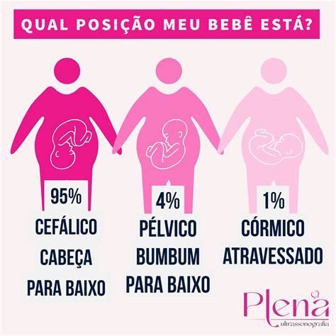 Onde Fica O Utero Na Barriga - 6