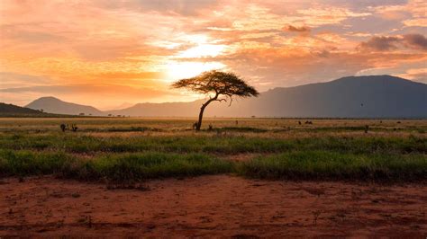 Sustainable Smallholder Agriculture in Sub-Saharan Africa – Blackstone ...