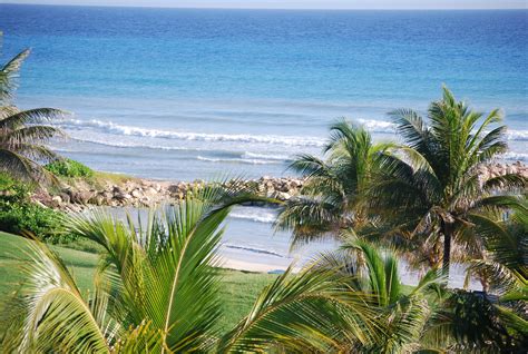Foto Gratis De La Playa De Jamaica