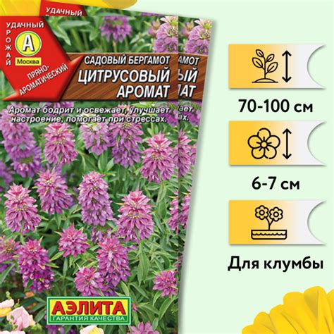 Бергамот ПОИСК Агрохолдинг Пряные, лекарственные, полезные травы и ...