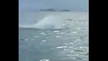 Novinha Quebrando Xvideos