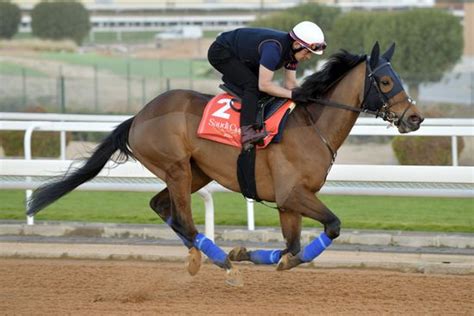 Riyadh Trawlerman Morning Trackwork King Abdulaziz Editorial Stock