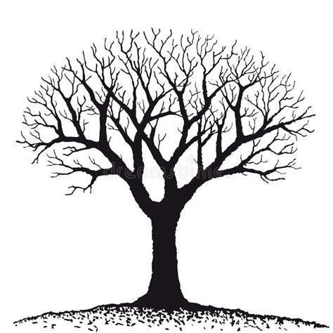 Árbol negro sin las hojas ilustración del vector Ilustración de muerto