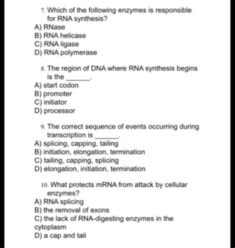 Solved Which of the following enzymes is responsible for RNA | Chegg.com