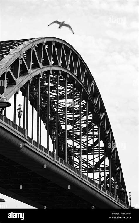 Silhouette Of Tyne Bridge Hi Res Stock Photography And Images Alamy