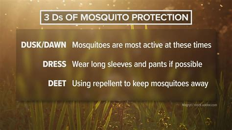 tips    fight  mosquitoes newsnowcom