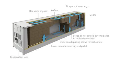 reefer sea freight refrigerated container shipping guide