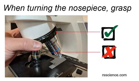 Compound Microscope Parts – Labeled Diagram and their Functions - Rs ...