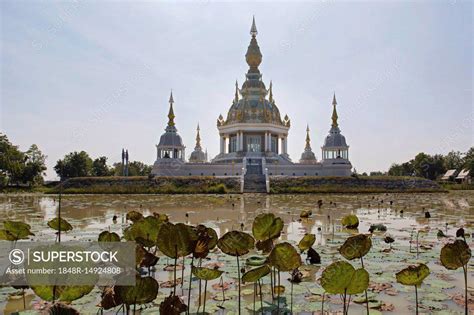 Pond With Lotus Nelumbo In Front Of Maha Rattana Chedi Of Wat Thung