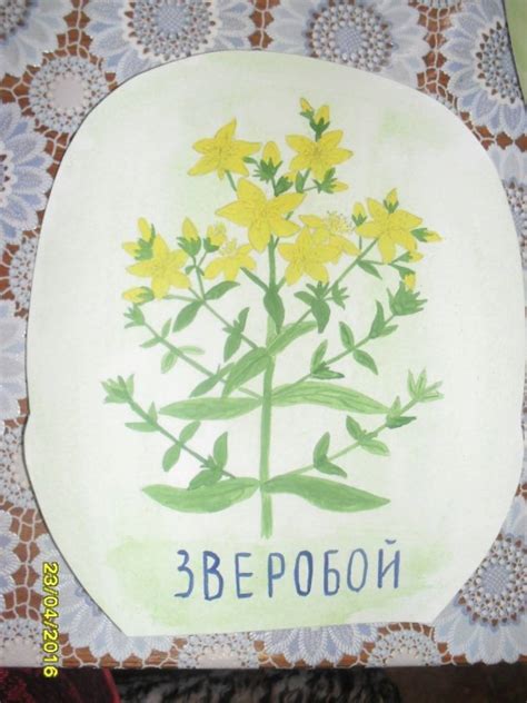 Книжка-малышка «Здоровье в лукошке» (19 фото). Воспитателям детских ...