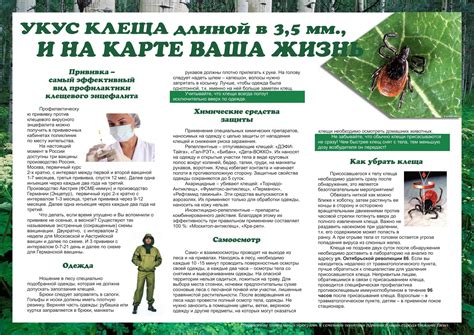 Клещевой энцефалит