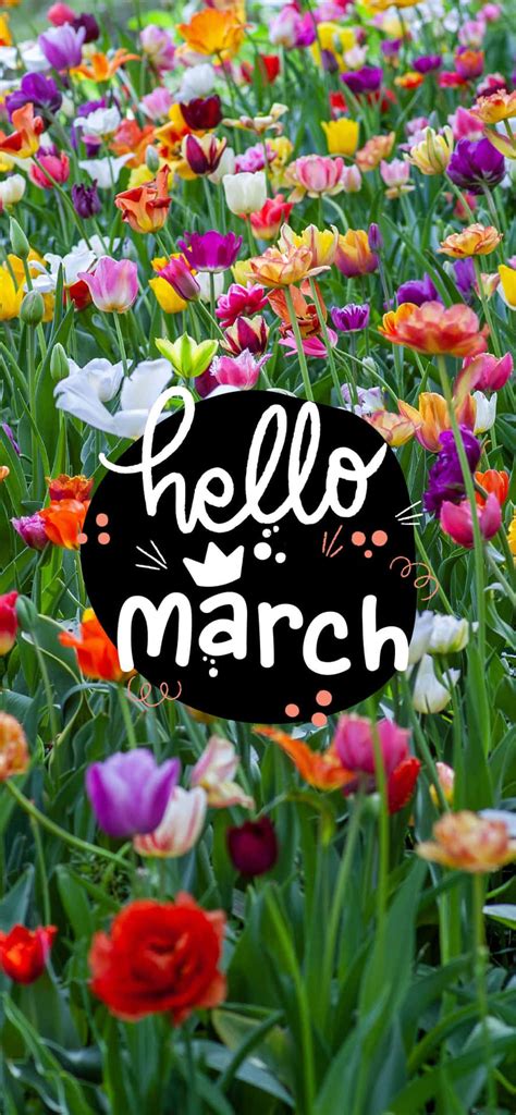100 Hello March Wallpapers