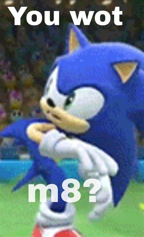 SONIC MEMES | Sonic the Hedgehog! Amino