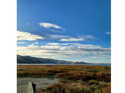 Picturesque Martinez Marina: Photo Of The Day | Martinez, CA Patch