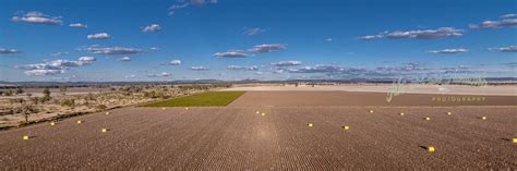 cotton fields abs al oot horizons photography