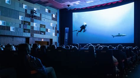 The event for OCEAN LOVERS | International Ocean Film Tour