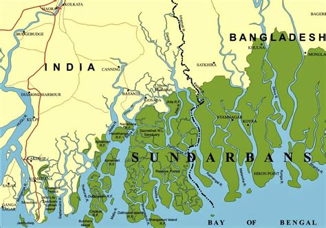 Importance Of Sundarban To Bangladesh