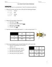 Sex Linked Trait Practice Doc Name Period Sex Linked Traits Practice Worksheet X Linked
