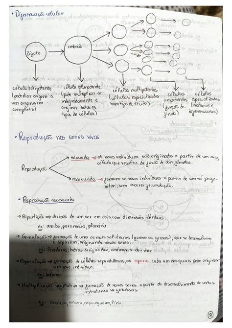 Solution Reprodução Sexuada E Assexuada Reprodução Nas Plantas E