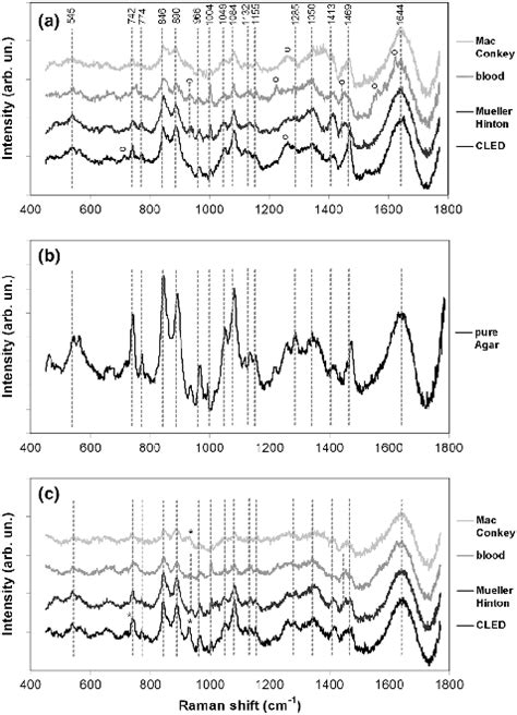 Normalized Raman Spectra Of Fragments Of The Four Types Of Agar A