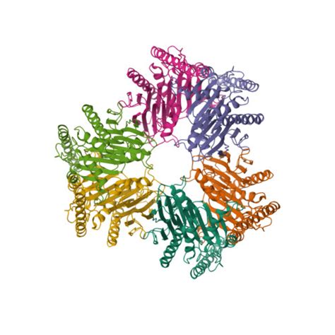 RCSB PDB 6VIN Crystallographic Structure Of The Circularly Permuted