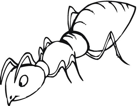 Outline Picture Of Ant Clipart Best