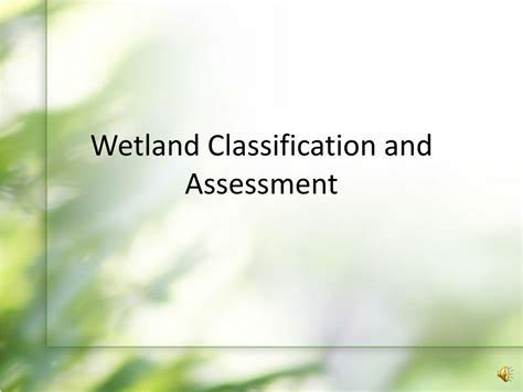 Ppt Wetland Classification And Assessment Powerpoint Presentation