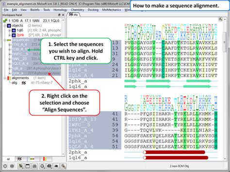 Icm User S Guide Sequence Alignments