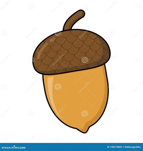 Oak Nut Acorn Cartoon Illustration Isolated On White Autumn Symbol