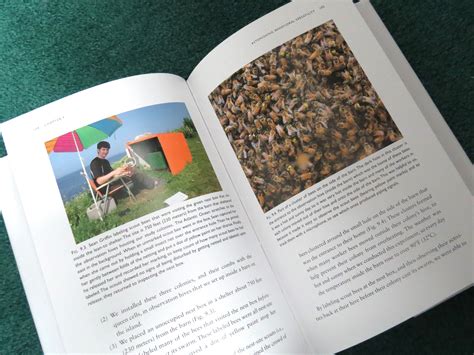 Book Review - Piping Hot Bees and Boisterous Buzz-Runners: 20 Mysteries