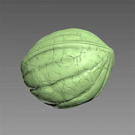 Nut Shell Relief 3d Print Model By 3drelief