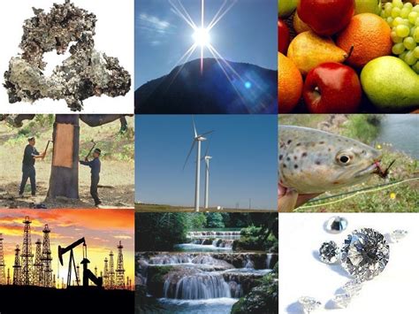Recursos Naturais Renovaveis Exemplos - Exemplos De Recursos Renovaveis