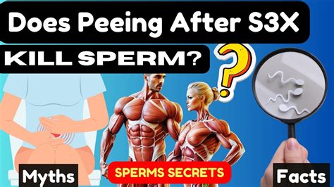 Does Peeing After Sex Affect Sperm Survival Debunking Myths YouTube
