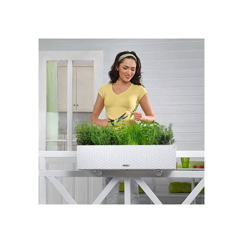 Jardinière Balconera Cottage 80 All in one Blanc Lechuza à Prix Carrefour