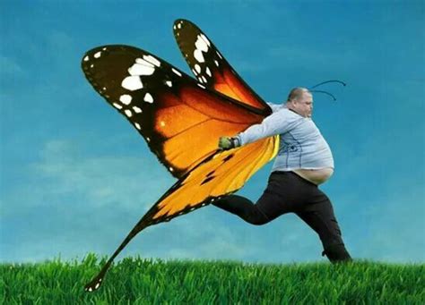 beautiful butterfly butterfly man beautiful butterflies