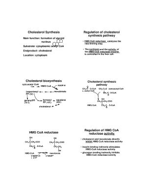 Fillable Online tamu Cholesterol Synthesis Regulation of cholesterol ...