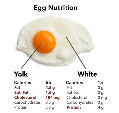 egg cookery techniques   nutritional benefits