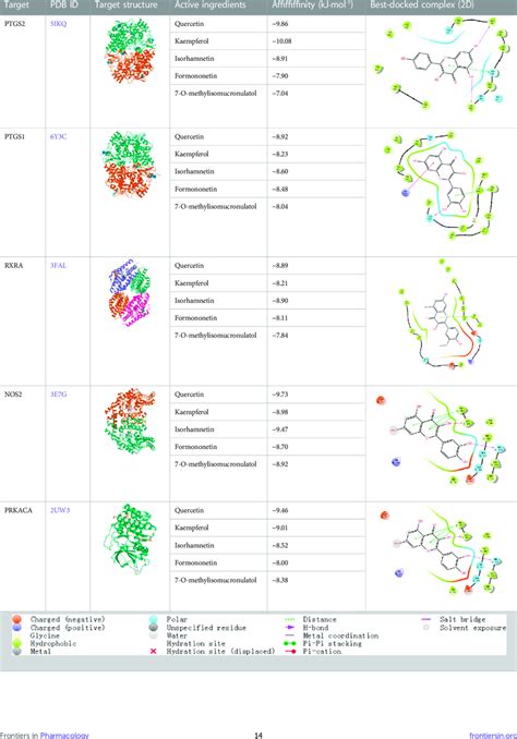 results  molecular docking  scientific diagram