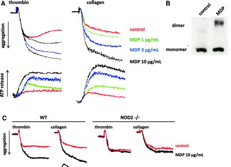 NOD2 Activation Induced By MDP Potentiates Platelet Activation Induced