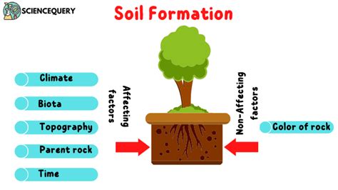 Factors Affecting Soil Formation