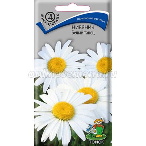 Нивяник Белый танец из каталога Семена цветов – купить с доставкой по ...