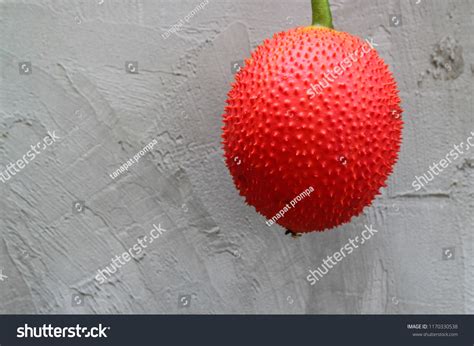 baby jackfruit juicethe fruit   stock photo