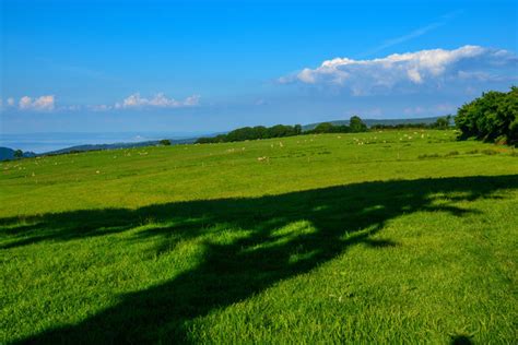 West Somerset Grassy Field Lewis Clarke Geograph Britain And Ireland