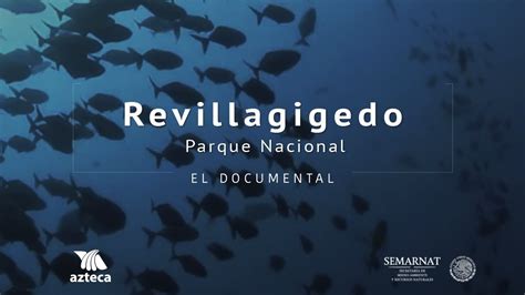 Revillagigedo Parque Nacional YouTube